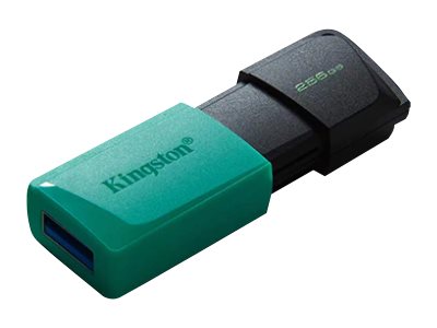 Kingston DataTraveler Exodia M - Unidad flash USB - 256 GB - USB 3.2 Gen 1