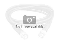 Nexxt Solutions - Patch cable - Unshielded twisted pair (UTP) - Gray - Cat.6 10ft LSZH Type-2