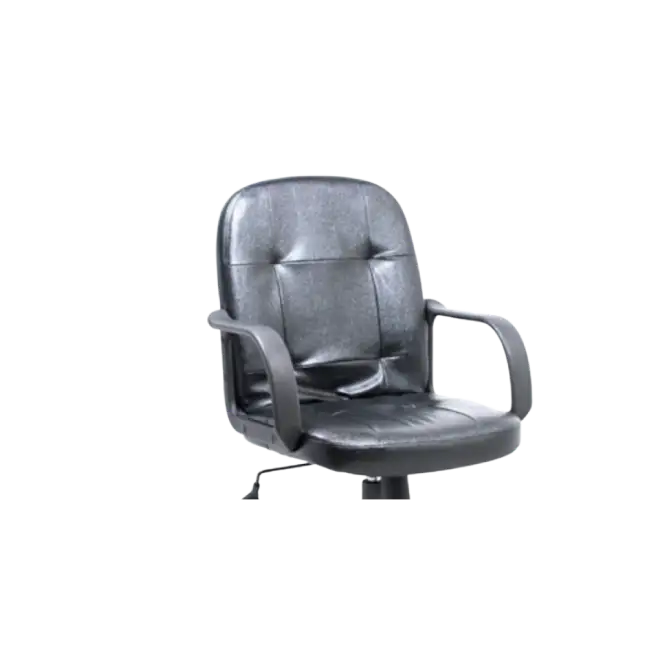 Executive Chair w/Arm Rest (Black)